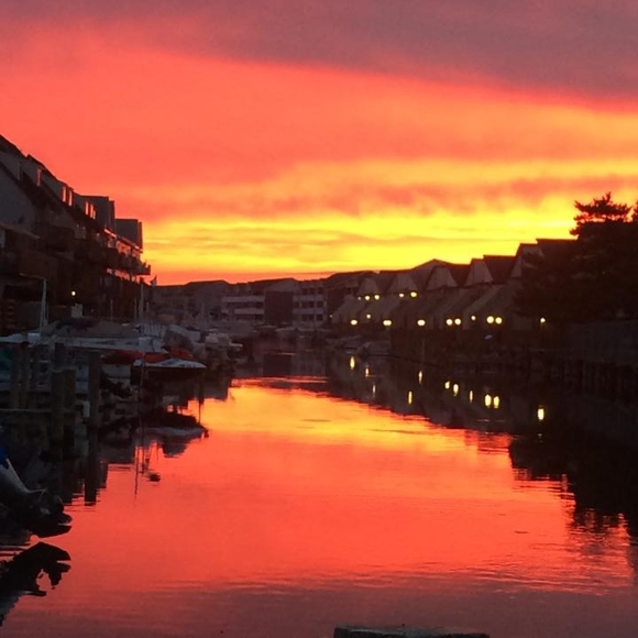 Meet your Posher, Matthew - Picture 1 of 1